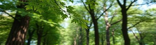 eco-friendly preplanning, thoughtful expression, choosing sustainable options, photorealistic, a green park with tall trees, highly detailed, leaves gently falling, using a macro lens, lush greens, dappled sunlight, shot with a Nikon 40mm f/2.8 lens.