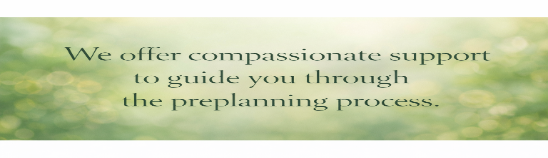 eco-friendly preplanning, thoughtful expression, choosing sustainable options, photorealistic, a green park with tall trees, highly detailed, leaves gently falling, using a macro lens, lush greens, dappled sunlight, shot with a Nikon 40mm f/2.8 lens.